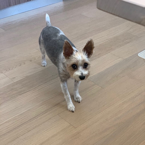 MY LITTLE BABY 🥰 - Picture 10 of 16